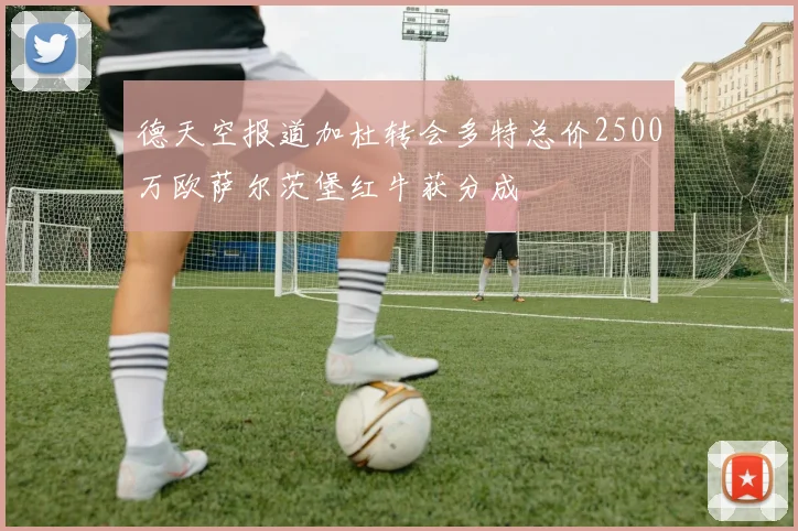 德天空报道加杜转会多特总价2500万欧萨尔茨堡红牛获分成